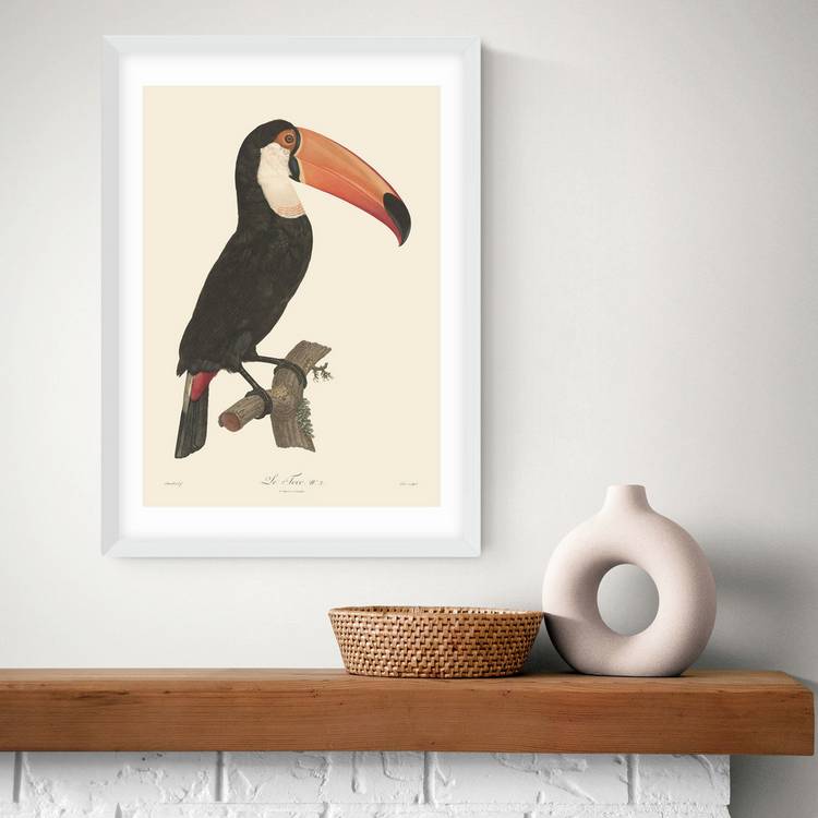 East End Prints Toucan White Frame Art Print - A2 0