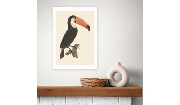 East End Prints Toucan Art Print - A2
