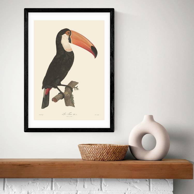 East End Prints Toucan Black Frame Art Print - A3 0