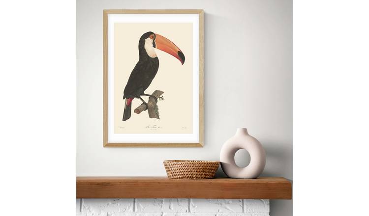 East End Prints Toucan Oak Frame Art Print - A3
