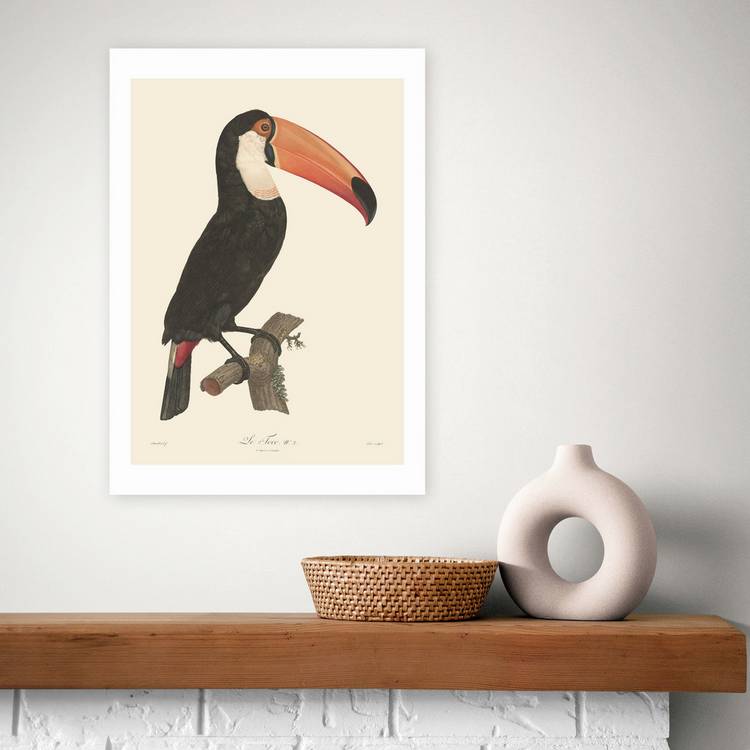 East End Prints Toucan Art Print - A3 0