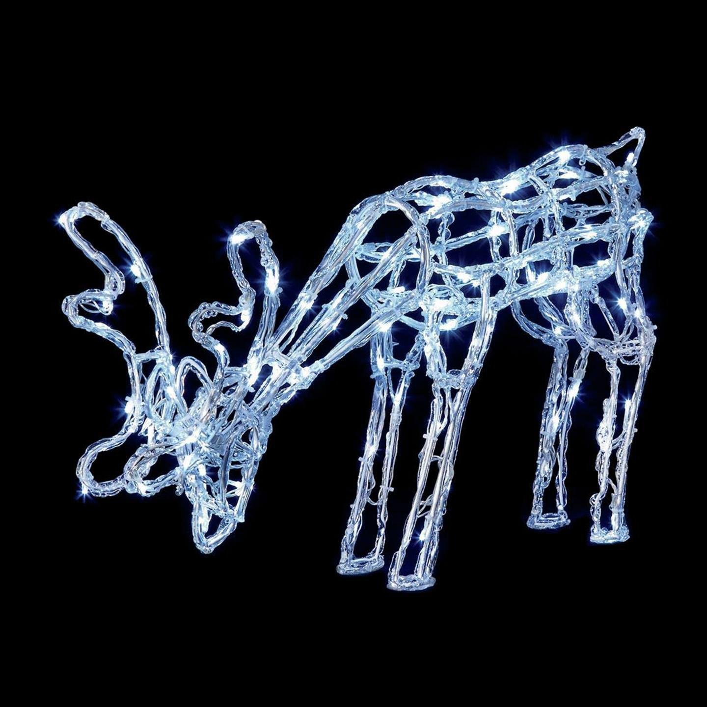 Premier Decorations Acrylic Grazing Reindeer LED - White