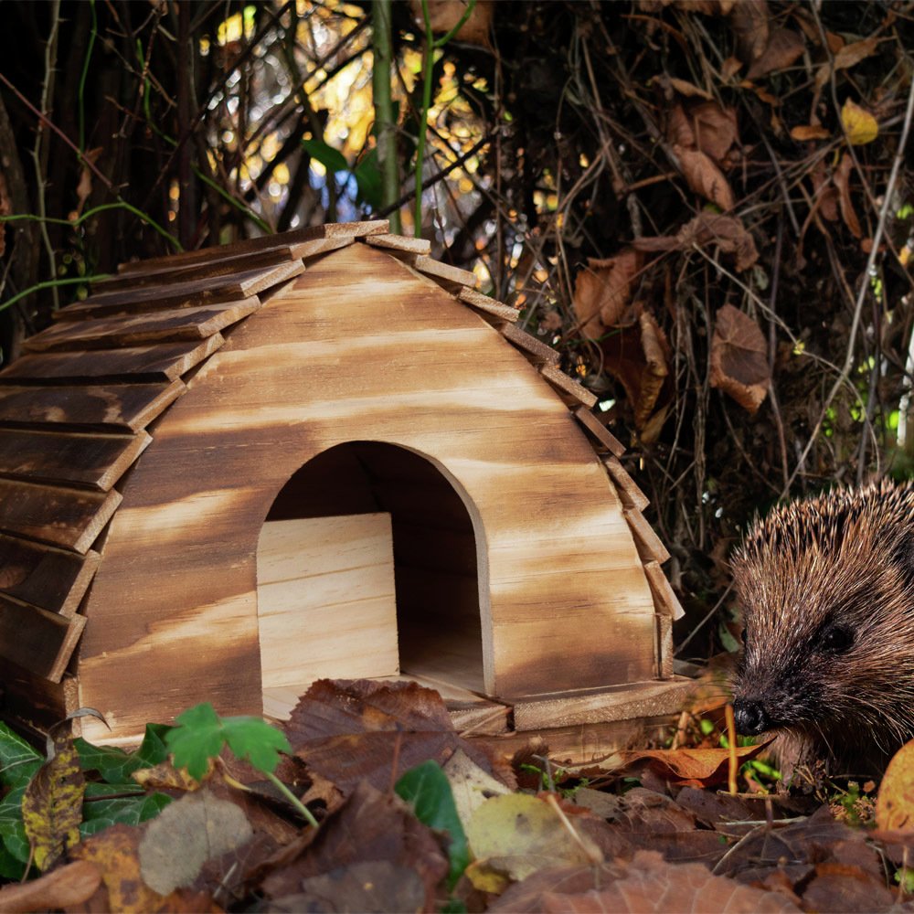 Mini Mates Hedgehog House Review