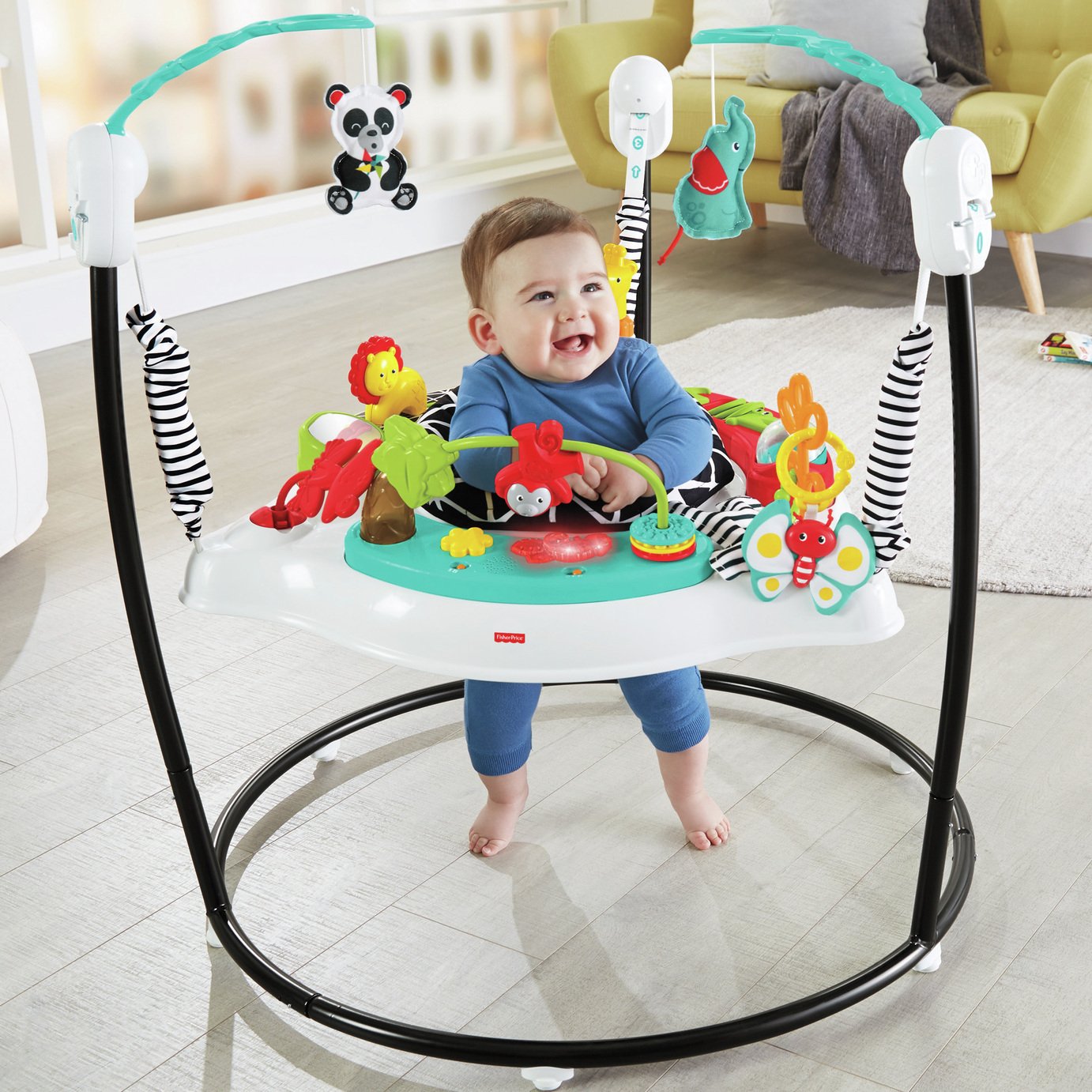 Fisher-Price Animal Wonders Jumperoo Review