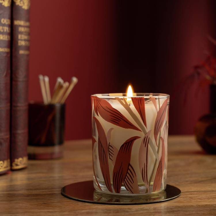 Habitat x Morris & Co. Oak & Fallen Acorn Boxed Candle 0