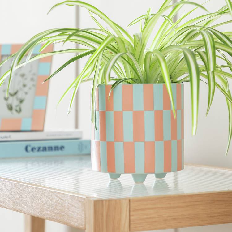 Habitat Checked Ceramic Footed Planter - Blue & Pink 0