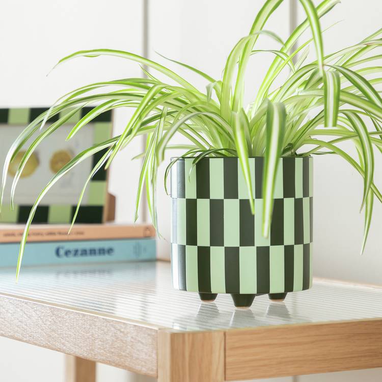 Habitat Checked Ceramic Footed Planter - Green 0