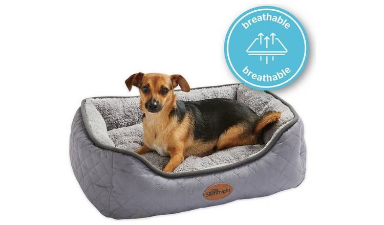 Buy Silentnight Airmax Pet Bed Small Dog beds Argos