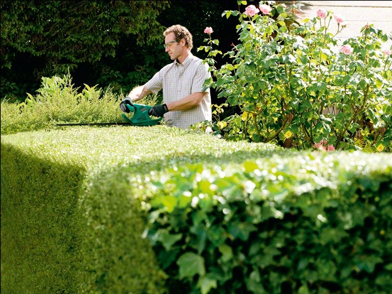 Bosch Ahs 45-16 45cm Corded Hedge Trimmer Review