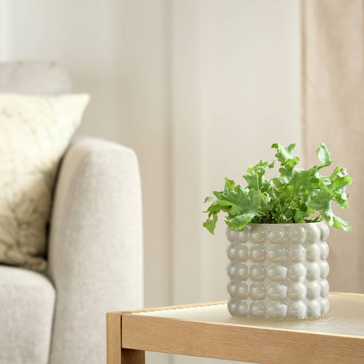 Habitat Bobble Medium Planter - Grey 0