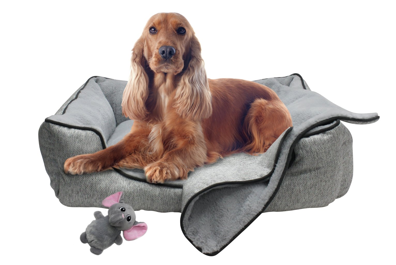 Pet Bed Blanket and Toy Bundle-Small