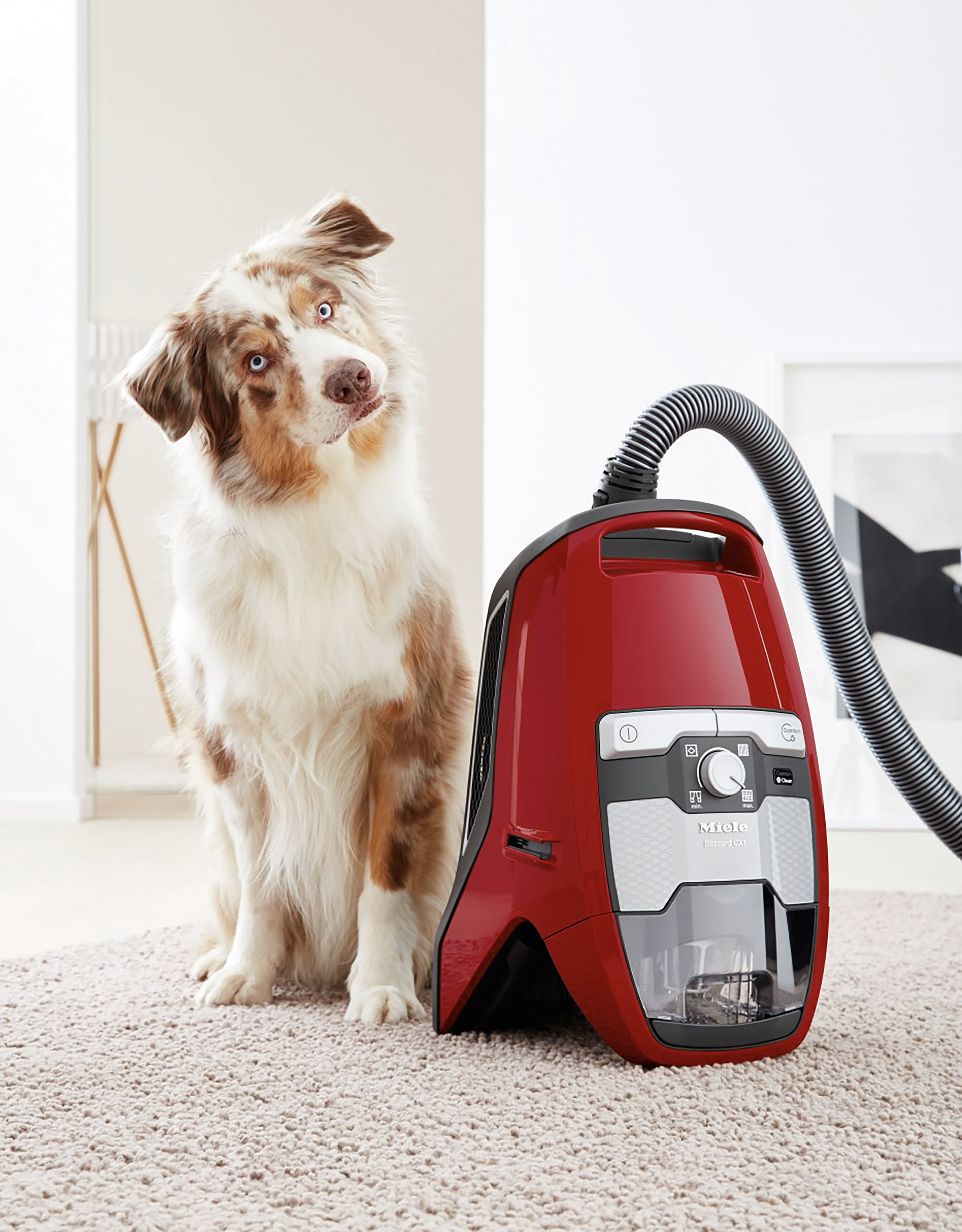 Miele CX1 Blizzard Cat & Dog Vacuum Cleaner Reviews