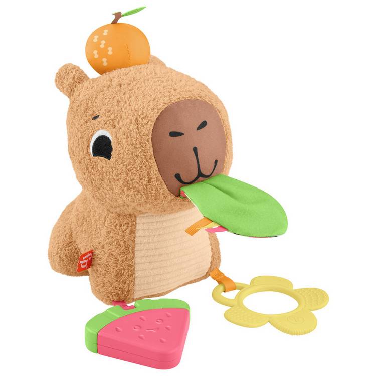 Fisher-Price Snuggly Snacky Capybara Plush Baby Sensory Toy 0