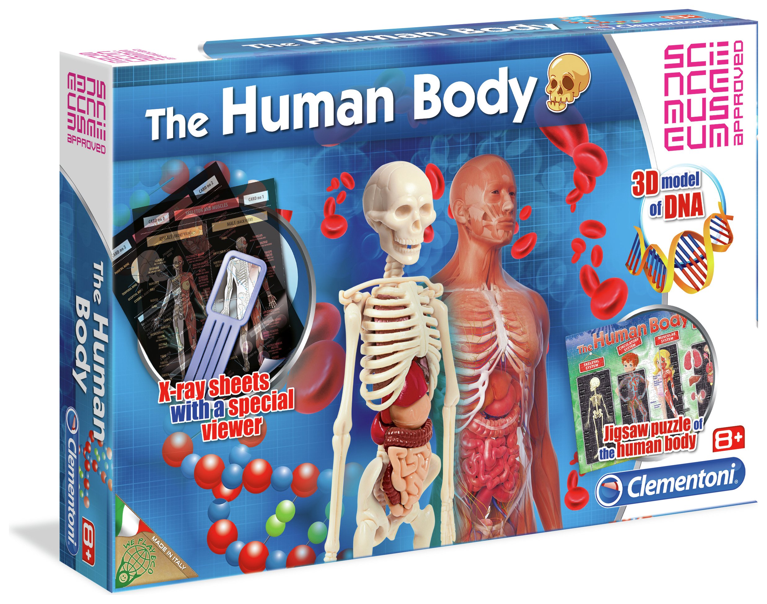 Science Museum Human Body