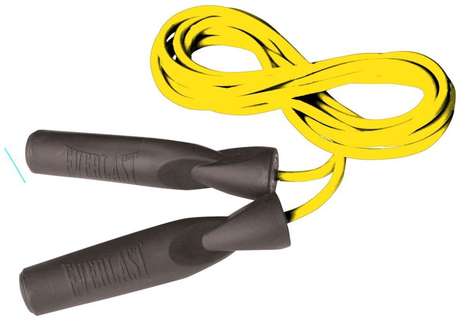 Everlast Speed Bag Kit Literacy Basics