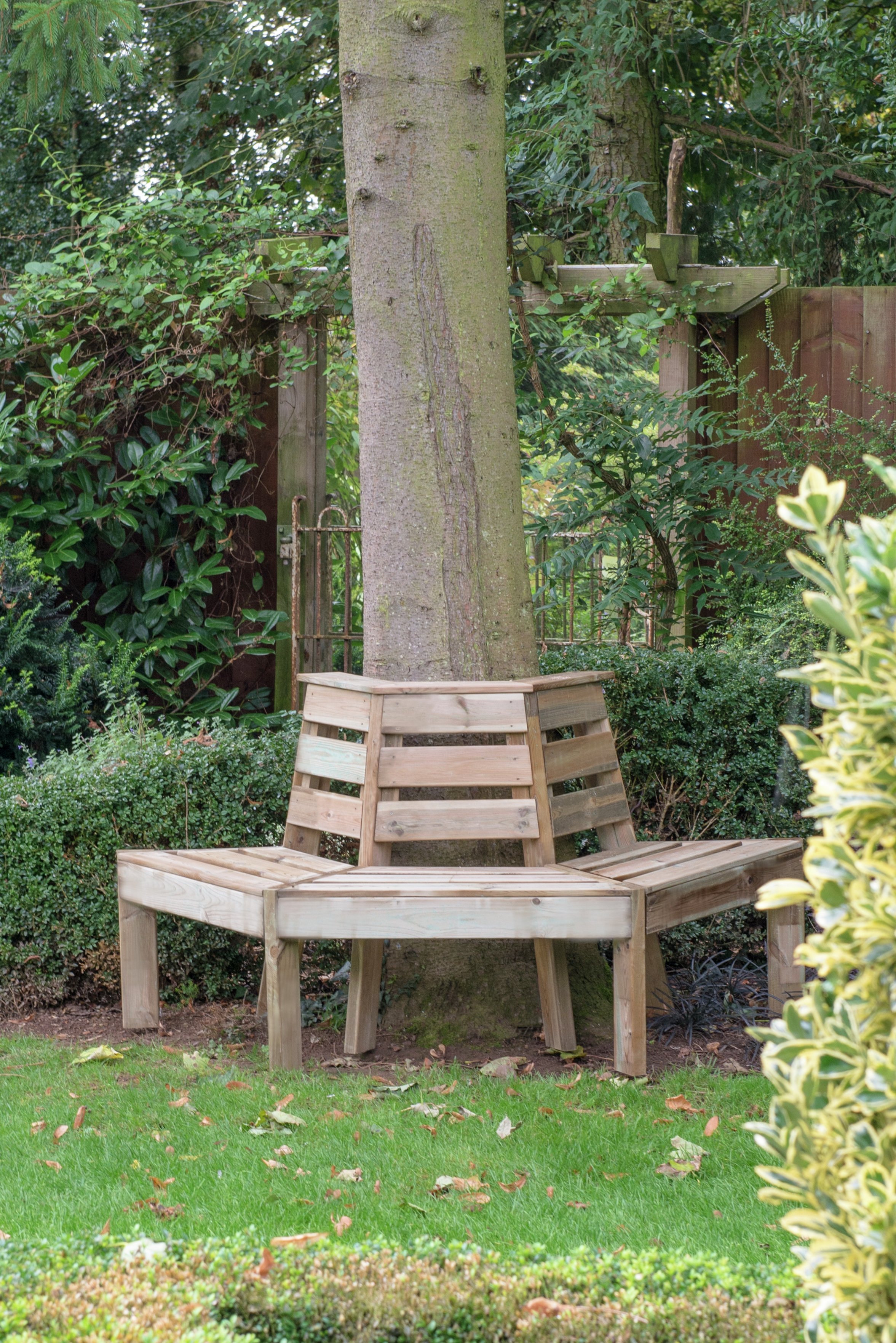 Forest Timber Tree Seat Review