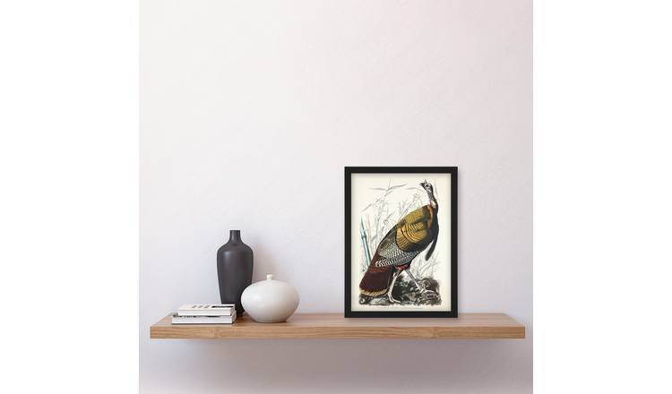 John James Audubon Birds Of America Wild Turkey Framed Art Print - A4