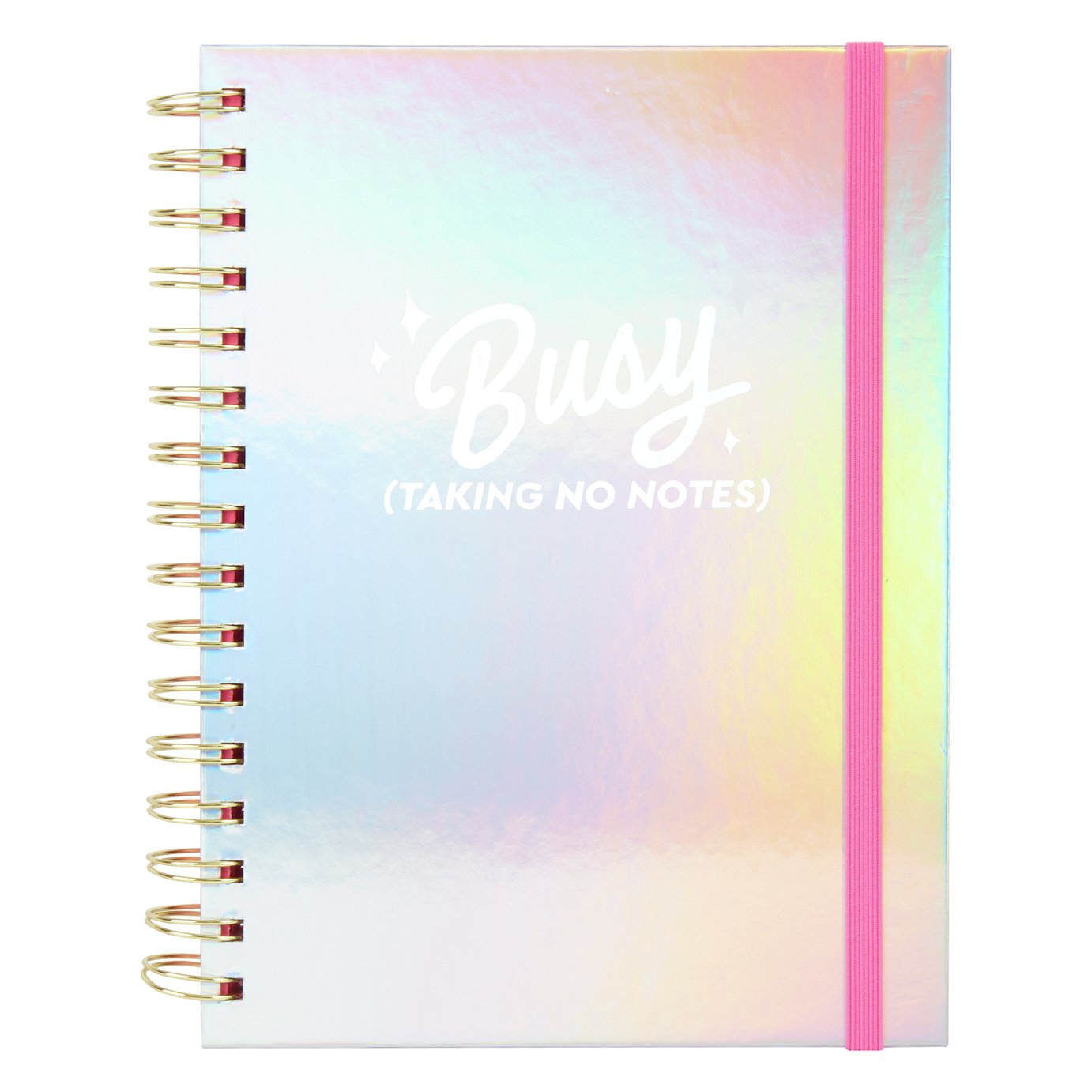 Skinnydip Busy Doing Nothing Notebook Review