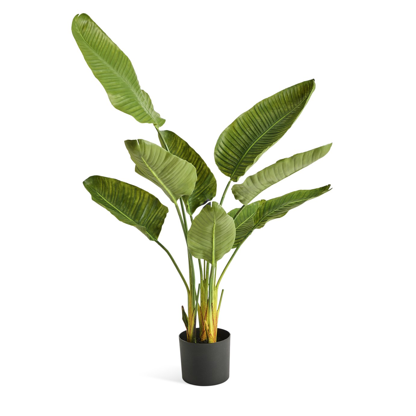 Habitat Artificial Green Travellers Palm Plant - 129cm