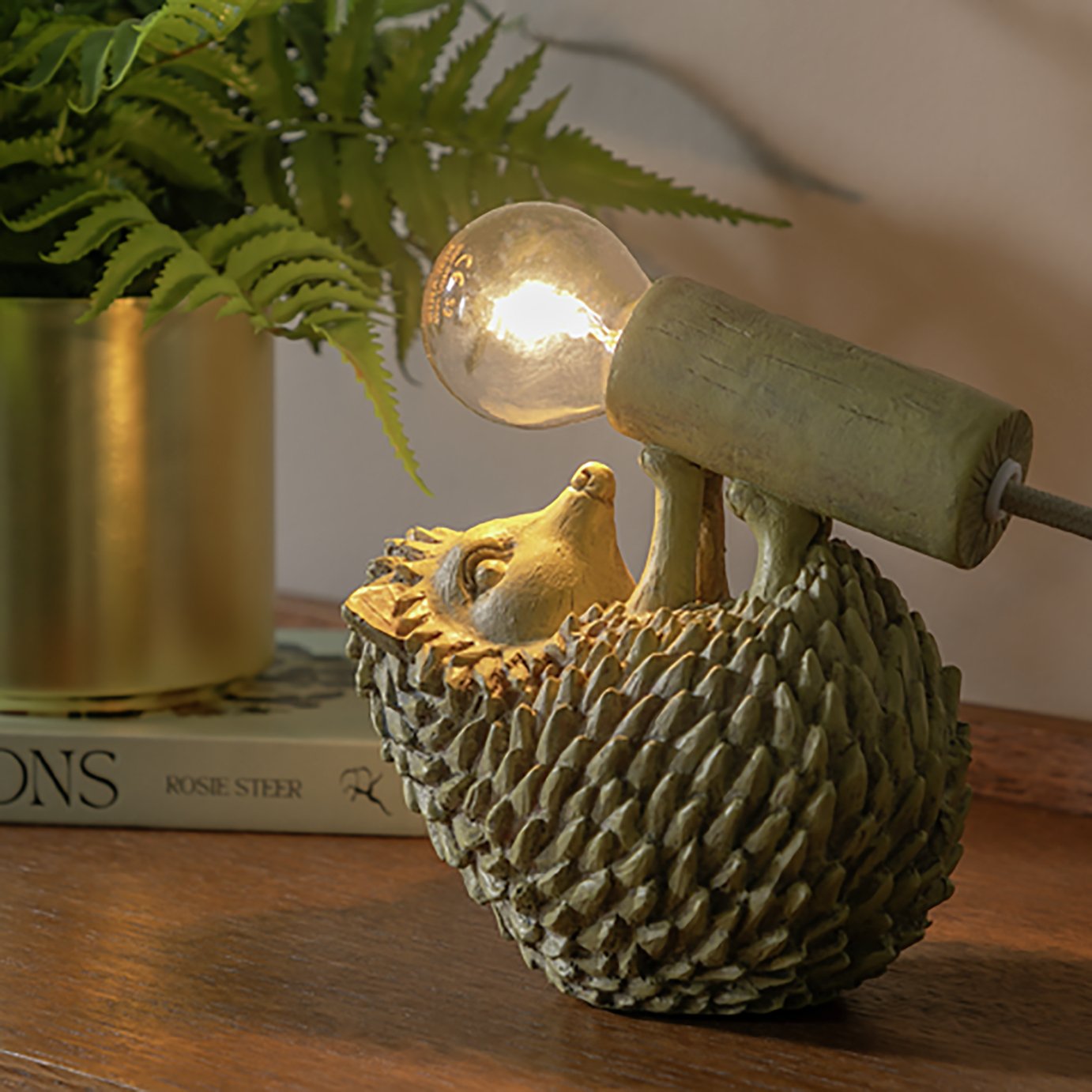 Argos Home Harry the Hedgehog Table Lamp Review