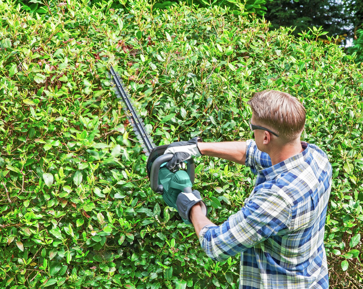 mcgregor cordless hedge trimmer