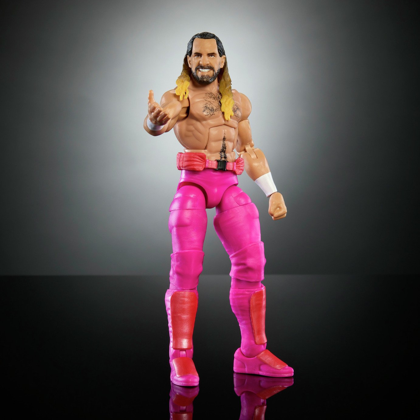 WWE Elite Premium Live Event Seth Rollins Action  Figure Set