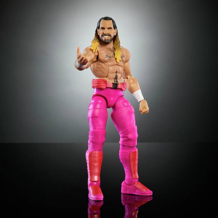 WWE Elite Premium Live Event Seth Rollins Action  Figure Set 0