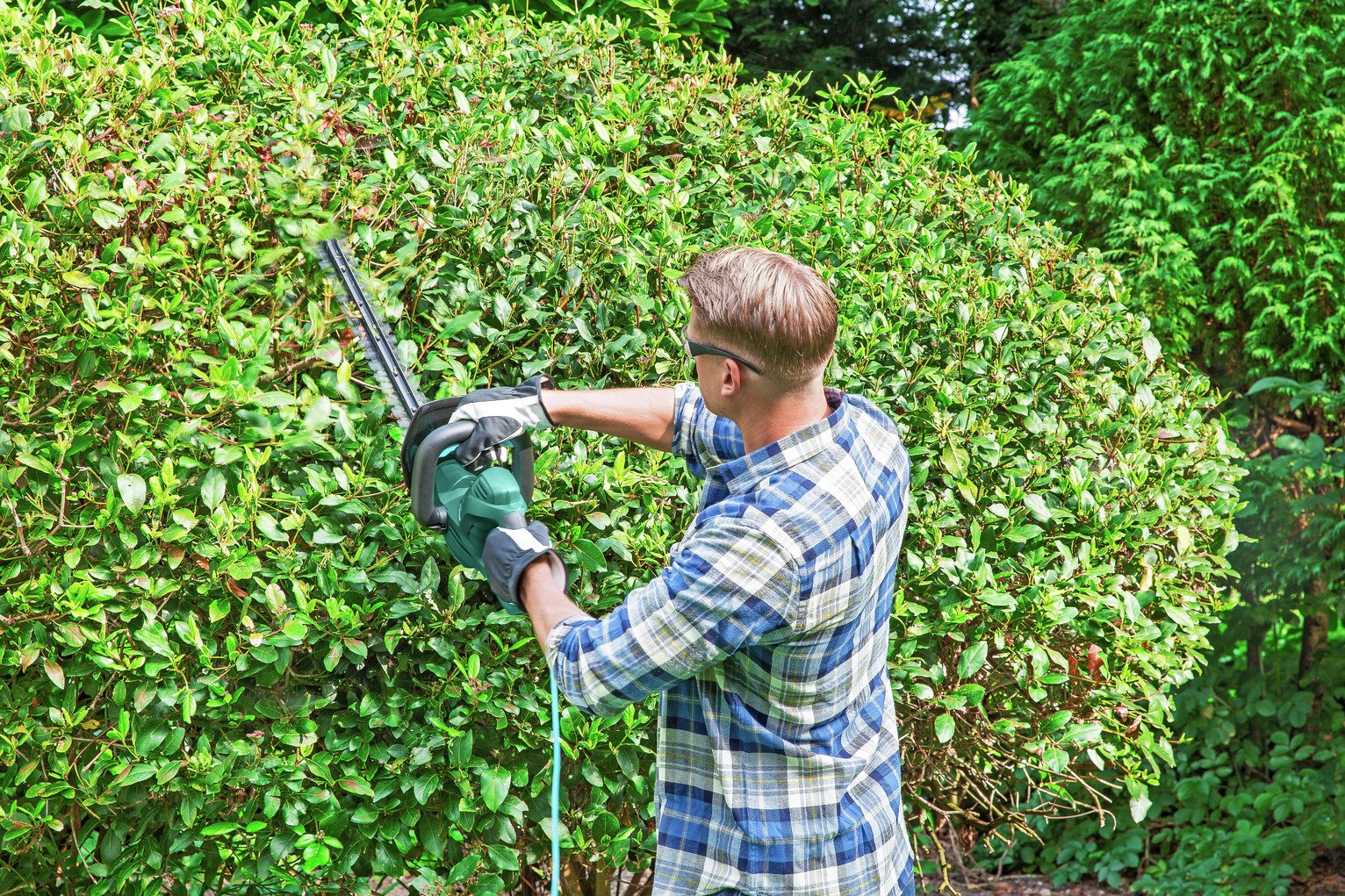 McGregor 45cm Corded Hedge Trimmer Review