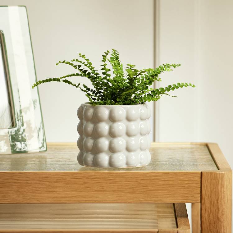 Habitat Bobble Small Planter - Grey 0