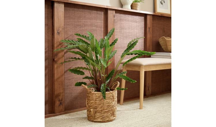 Habitat Small Rattan Handle Planter - Natural