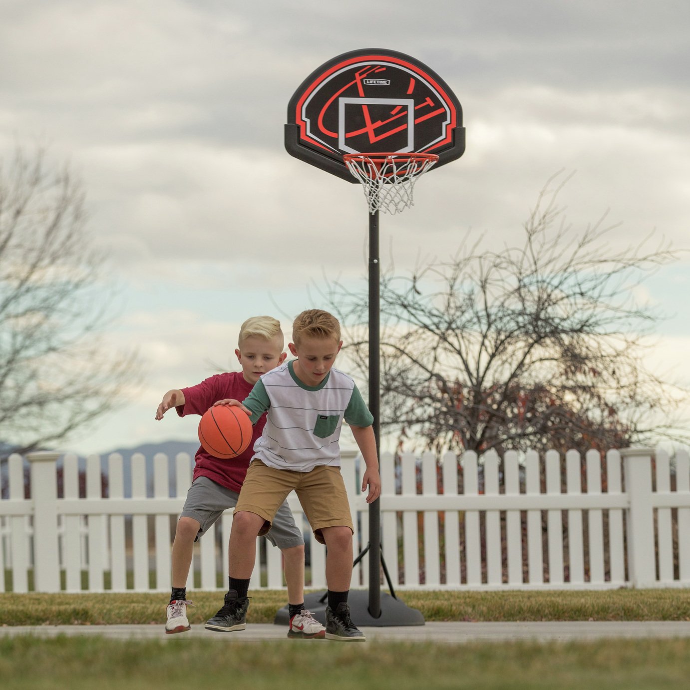 Lifetime Youth Basketball System. Reviews