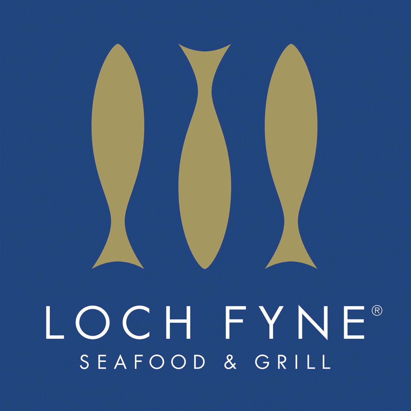 Seafood Delight at Loch Fyne Review