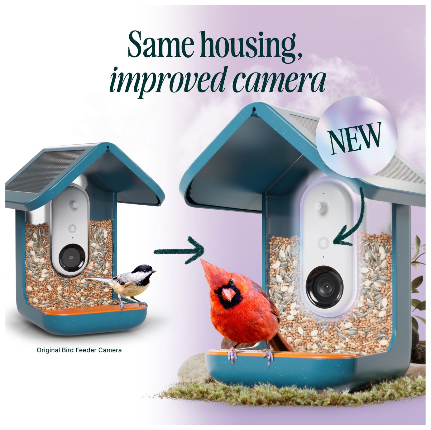 The Bird Buddy smart bird feeder was last year's most popular Black Friday deal