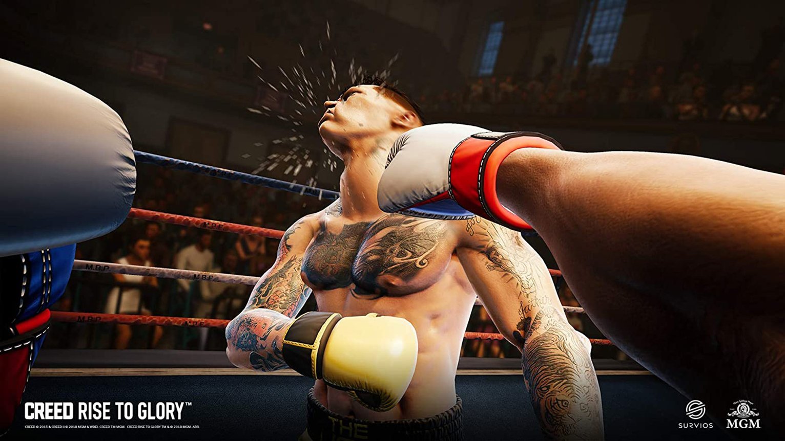 Creed: Rise to Glory PS4 Game Review