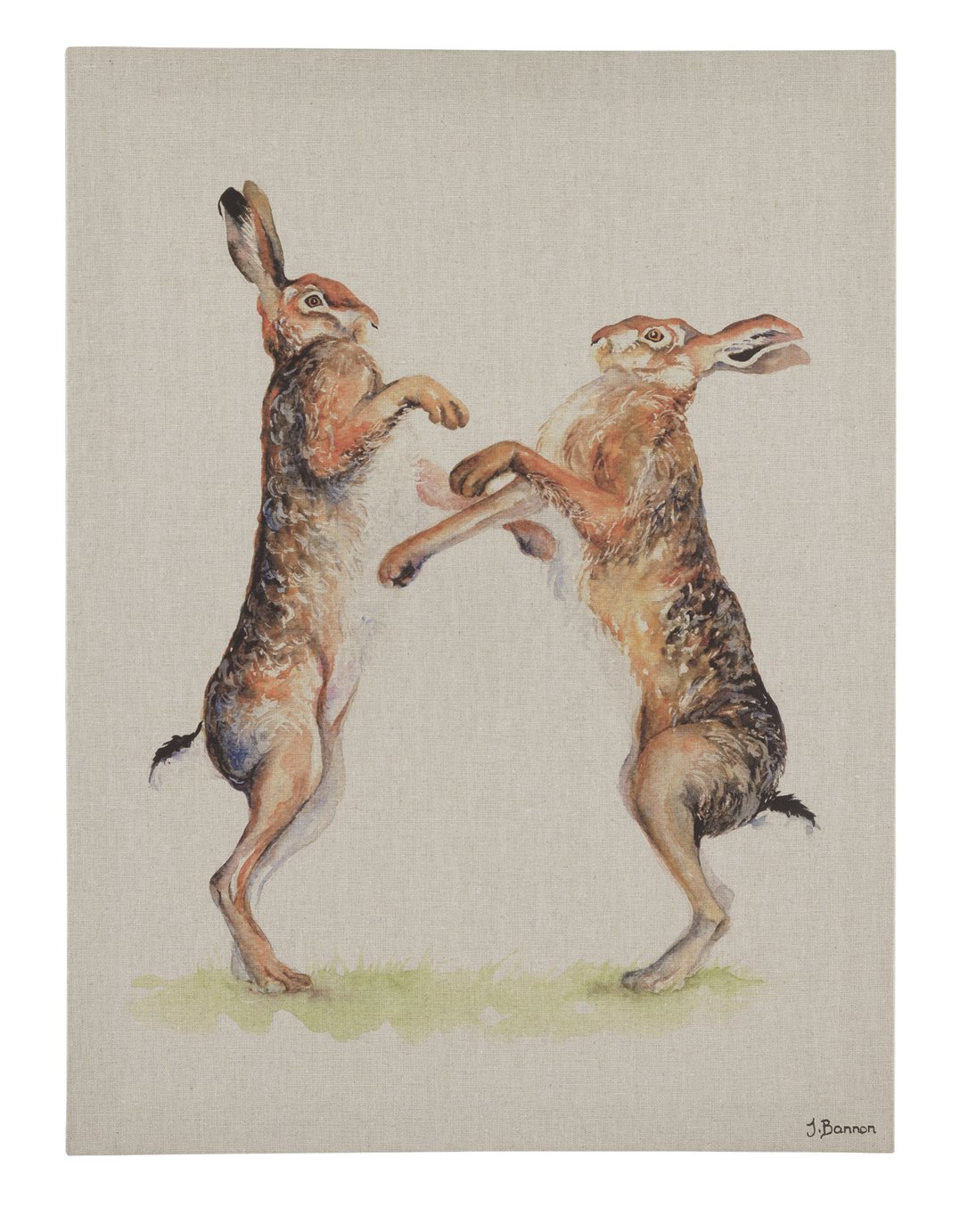 The Art Group Jane Bannon Boxing Hare Canvas Review