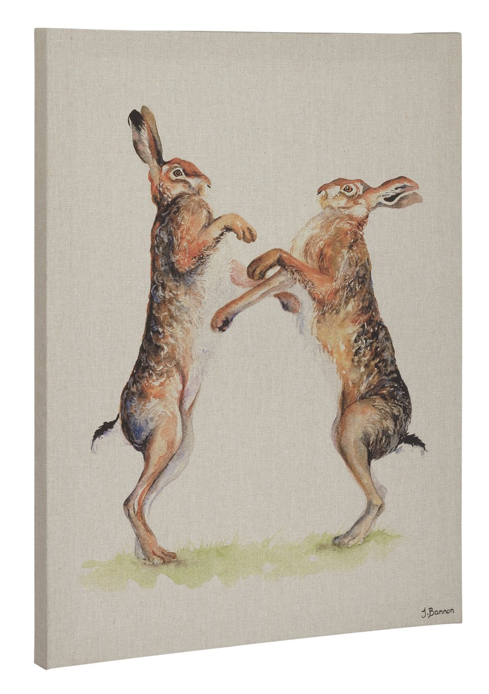 The Art Group Jane Bannon Boxing Hare Canvas Review