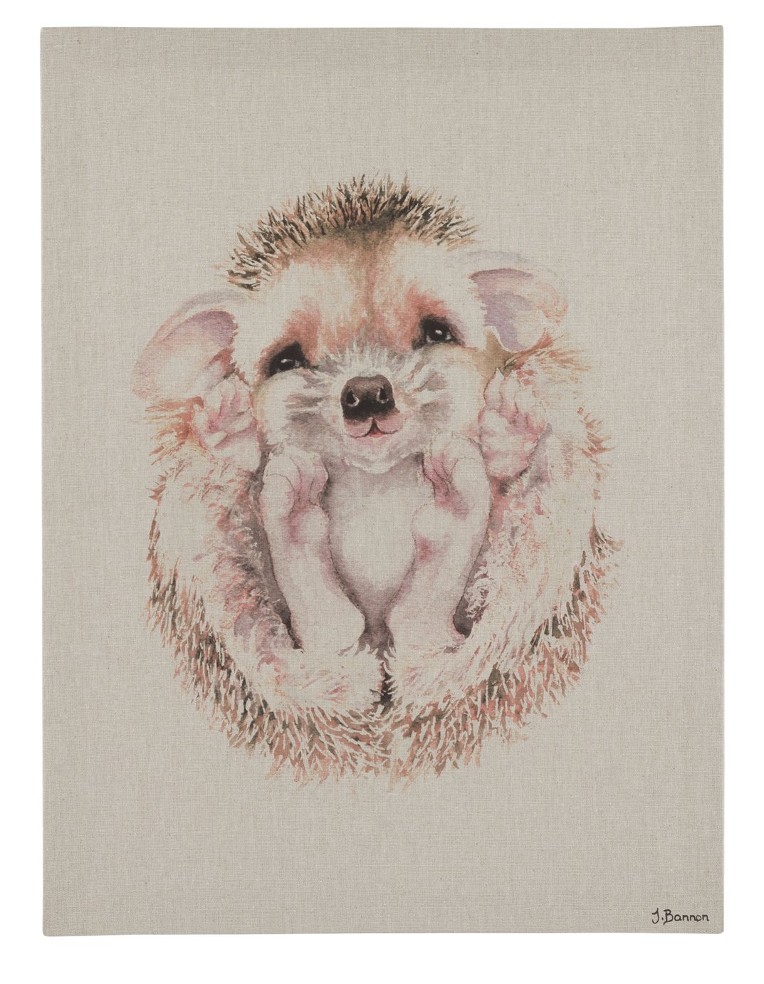 The Art Group Jane Bannon Hedgehog Canvas Review