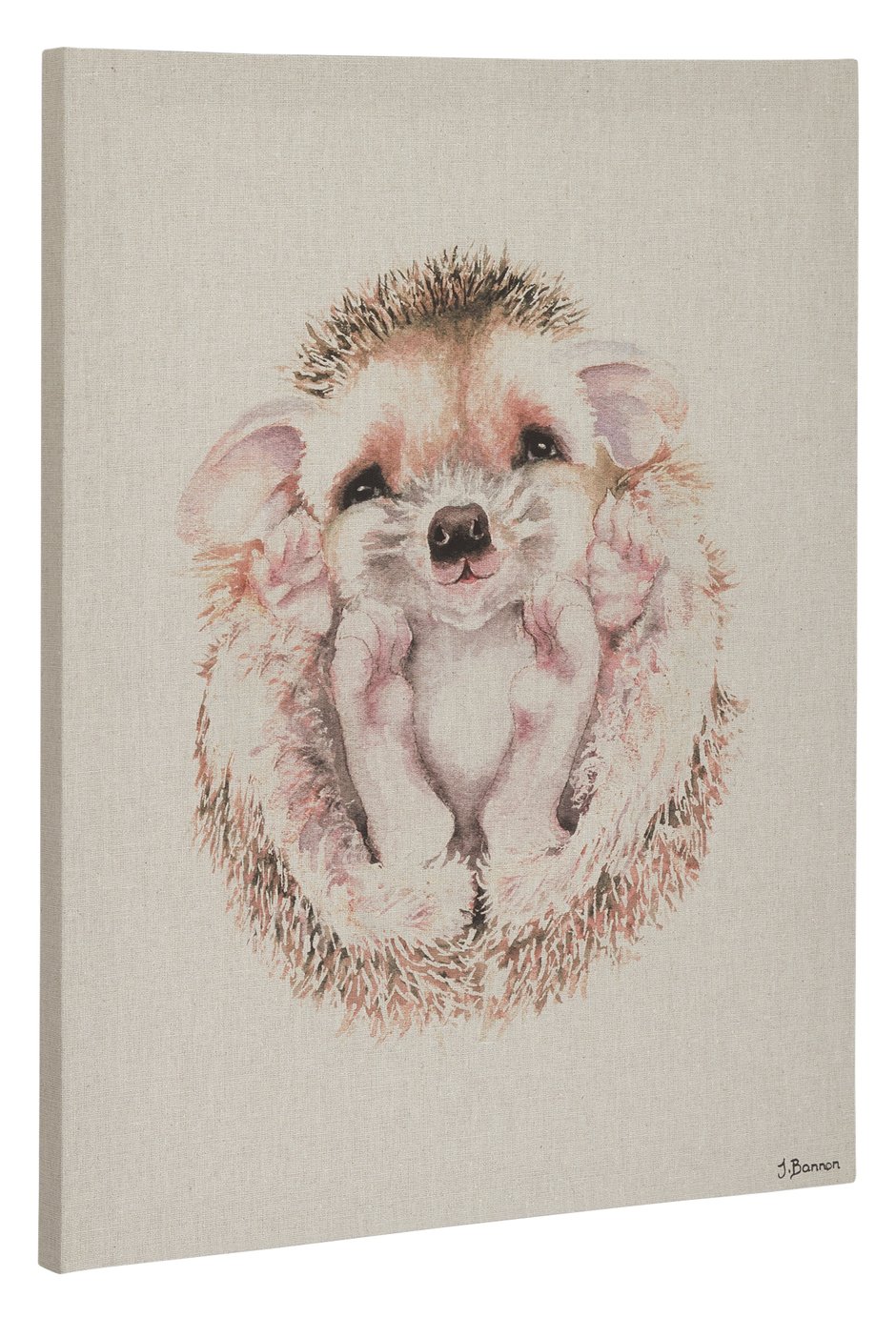 The Art Group Jane Bannon Hedgehog Canvas Review