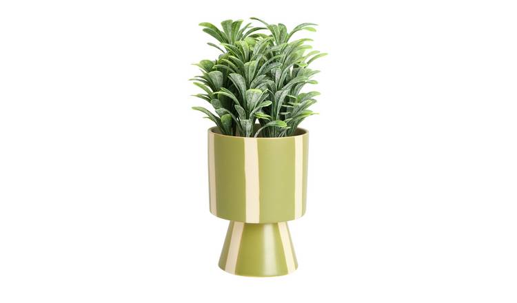 Argos Home Artificial Green Plant in Green Ceramic Pot