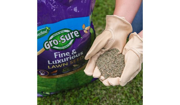 Westland Gro-Sure Fine & Luxurious Lawn Seed, For Lush Lawns - 100m2 Bag