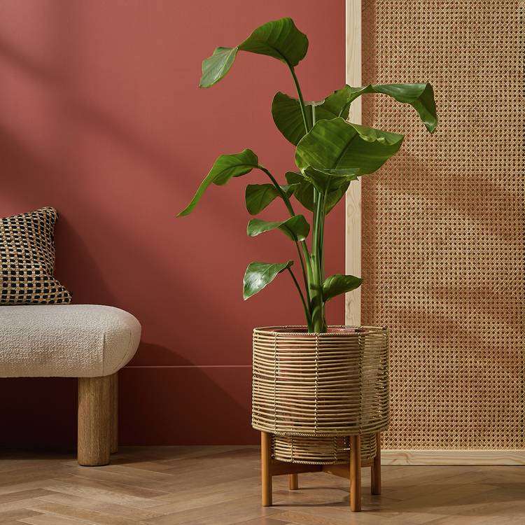 Habitat Large Woven Rattan Planter with Stand - Natural 0