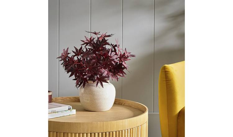 Argos Home Artificial Burgundy Autumnal Acer in Ceramic Pot