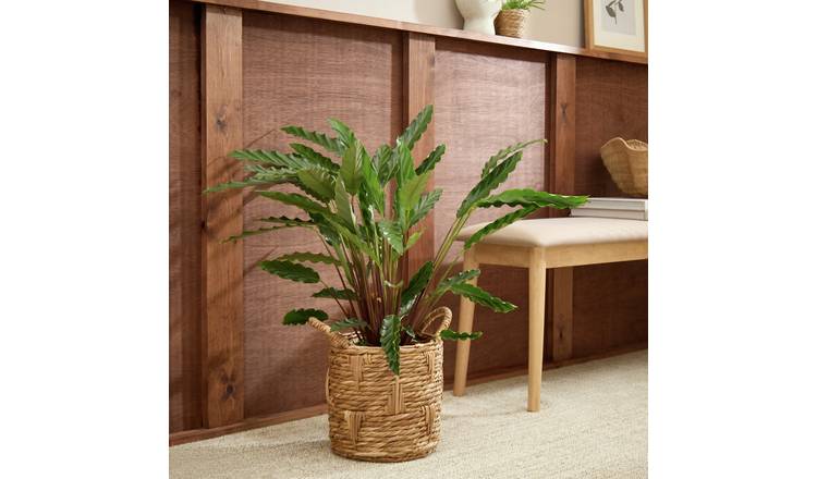 Habitat Large Rattan Handle Planter