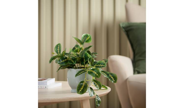 Argos Home Artificial Green Tradescantia in Grey Ceramic Pot