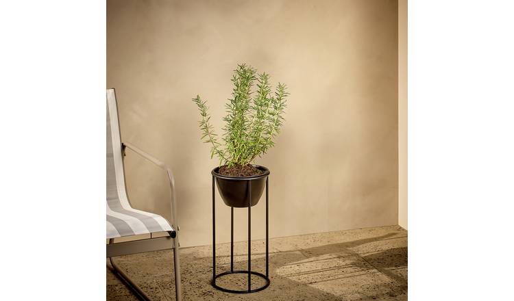 Argos Home Small Metal Planter