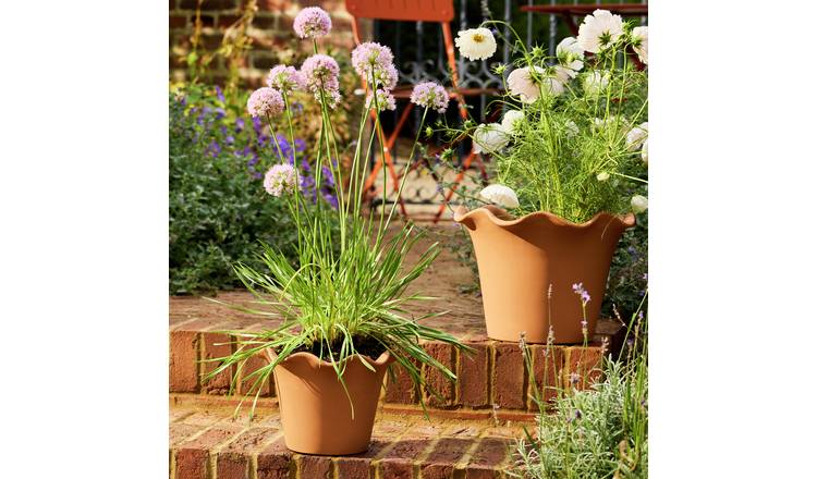 Habitat Scalloped 21cm Clay Planter – Small