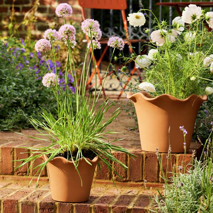 Habitat Scalloped 21cm Clay Planter – Small 0