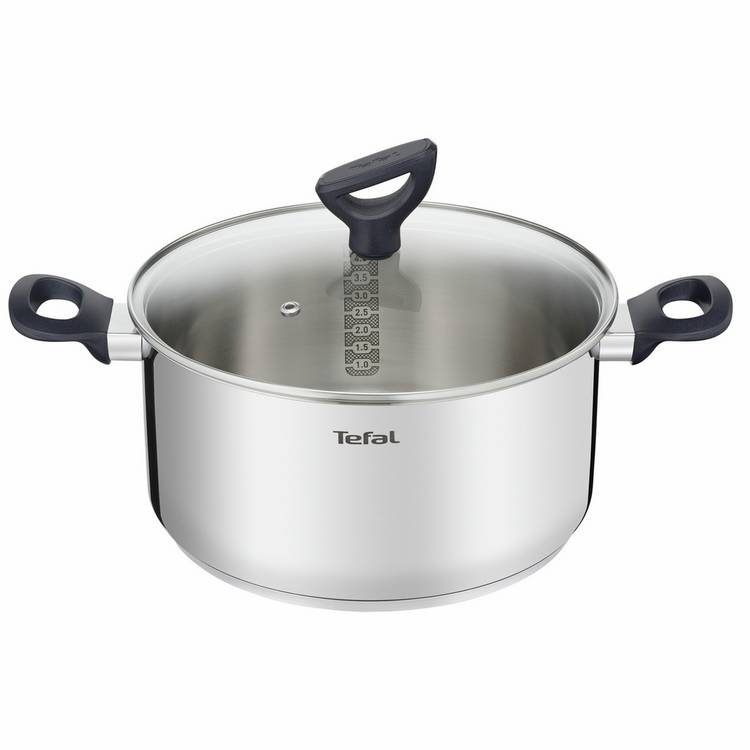 Tefal 24cm Stainless Steel Stew Pot 0