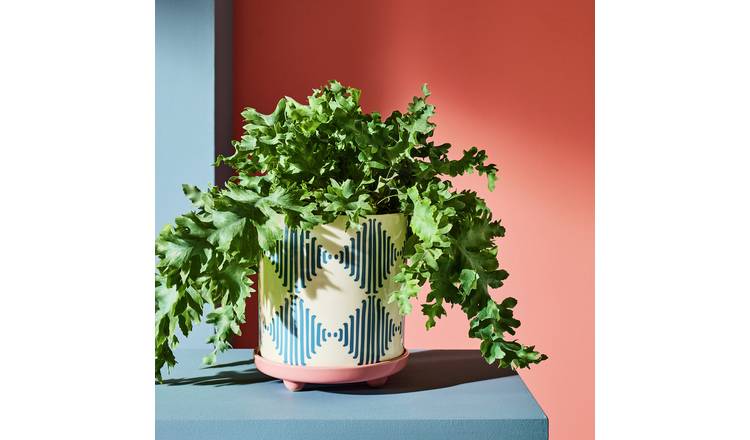 Habitat Harlequin Ceramic Blue Planter with Saucer