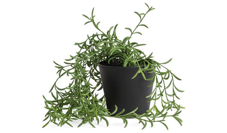 Habitat Medium Artificial Trailing Fern Plant